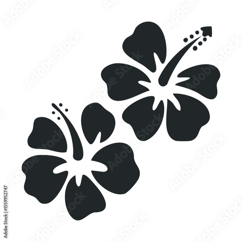 Silhouette of two hibiscus flowers in black and white design.