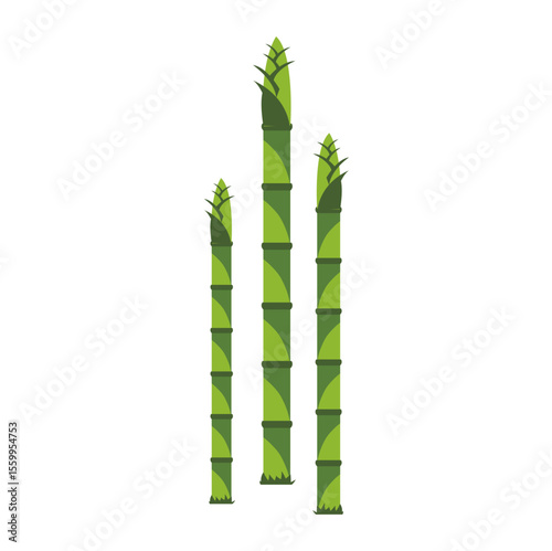 vector a bambooshot