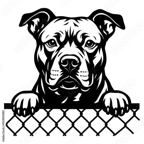A stoic, muscular pit bull peers over a chain-link fence, its intense gaze exuding strength and loyalty. vector illustration