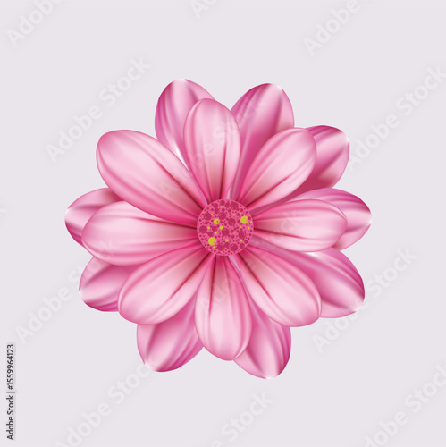 pink daisy flower art illustration design