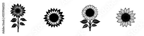 Silhouette pictogram set featuring diverse sunflower designs in isolated vector format for graphic use