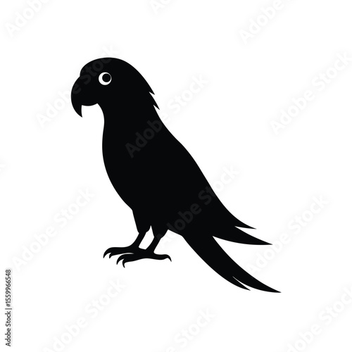Vibrant parrot bird silhouette isolated on white background