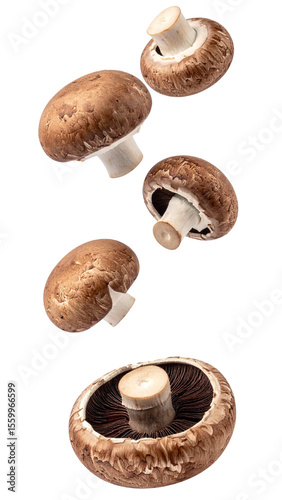 Fresh portobello mushrooms falling against a transparent background, creating a dynamic and appetizing visual