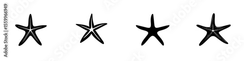 Set of silhouette pictograms representing starfish in various poses for design and educational purposes