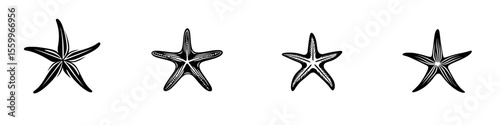 Silhouette pictograms of starfish designs showcasing diverse patterns and details in a minimalist style