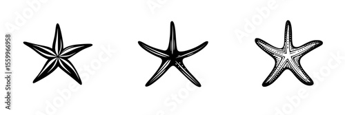 Silhouette pictograms of starfish in various designs showcasing marine life and ocean themes