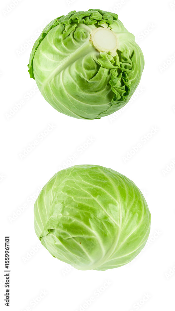 Fototapeta premium Two perfectly ripe green cabbages falling against a transparent background, ideal for food and health related designs