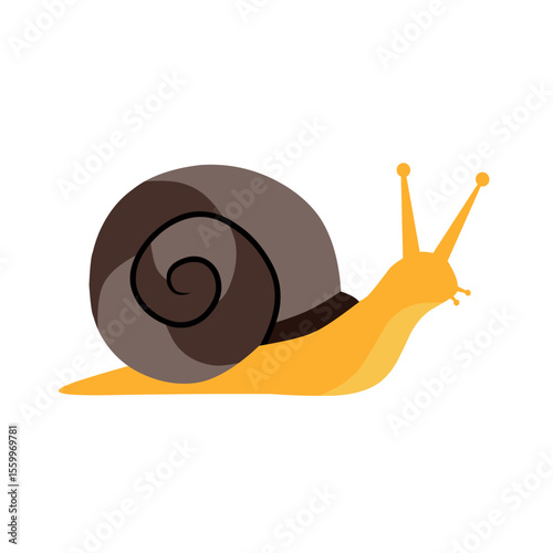 Colorful vector illustration of a snail with a brown spiral shell and orange body. Perfect for nature, slow movement concepts, or children's educational designs