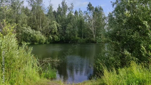 Forest pond at Summer day - Russian nature landscape