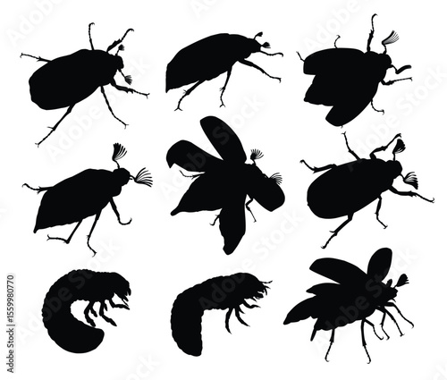 Set silhouettes of May beetle and larvae.
