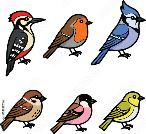 Cartoon vector icon set of forest birds – woodpecker, robin, blue jay, sparrow, finch, and barbel – colorful flat design, just outlines, nice style