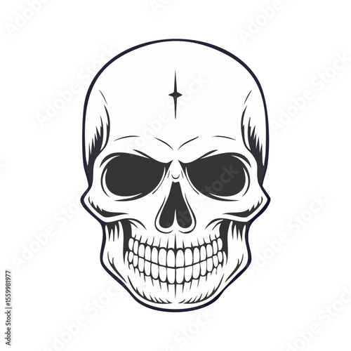 vector set of skulls in hand drawn style black and white
