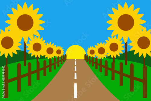 country road tall sunflowers summer bright nature