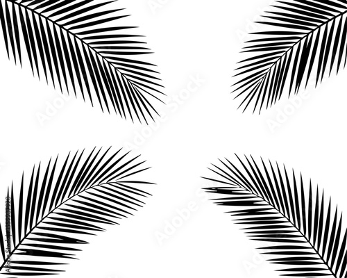 Four Black Palm Frond Silhouettes Creating a Corner Frame
