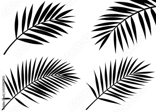 Set of Four Tropical Palm Frond Silhouettes in Black
