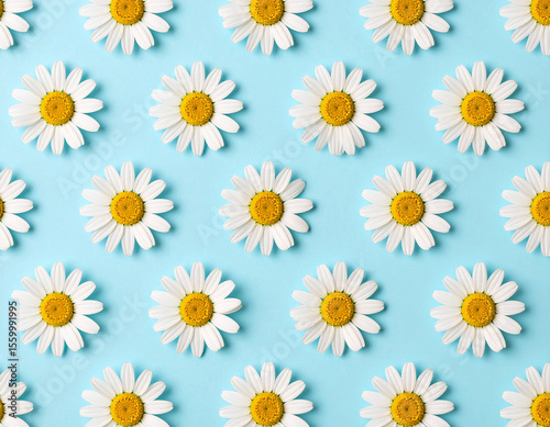 A perfectly arranged seamless repeating pattern of identical white daisies with vibrant yellow centers on a bright, cheerful blue background.