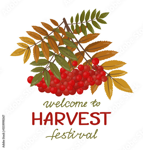 Vector illustration of red berries and colorful autumn leaves with the words Welcome to the Harvest Festival in decorative font. Perfect for seasonal greetings and festival promotions.