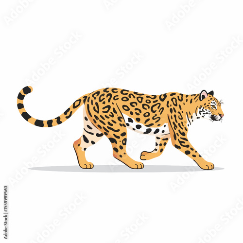 Leopard illustration shows spotted cat walking, powerful animal with sleek fur and long tail. Leopard illustration is suitable for various uses and purposes.