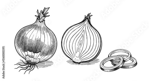 A Collection of Delicious Onions and Garlic Bulb in a Rustic Display