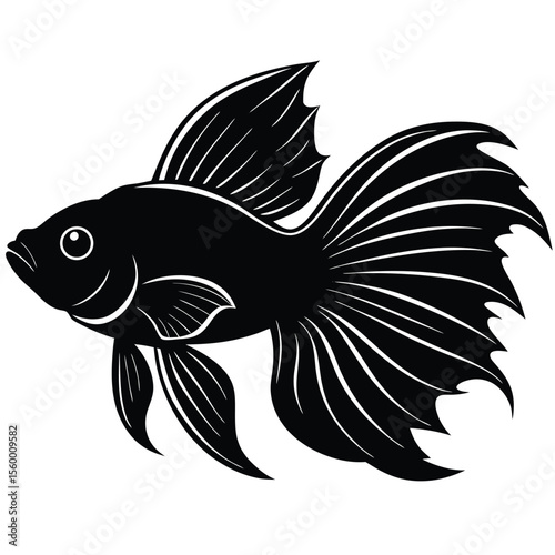 A-betta-fish-.eps