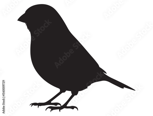 CANARY BIRD SILHOUETTE