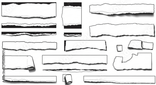 Collection of various torn paper scraps with jagged edges and shadows on a white background layout design