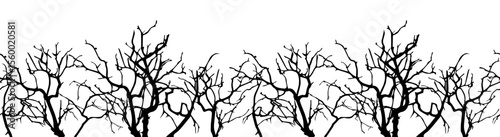 Seamless border with black tree branches for Halloween