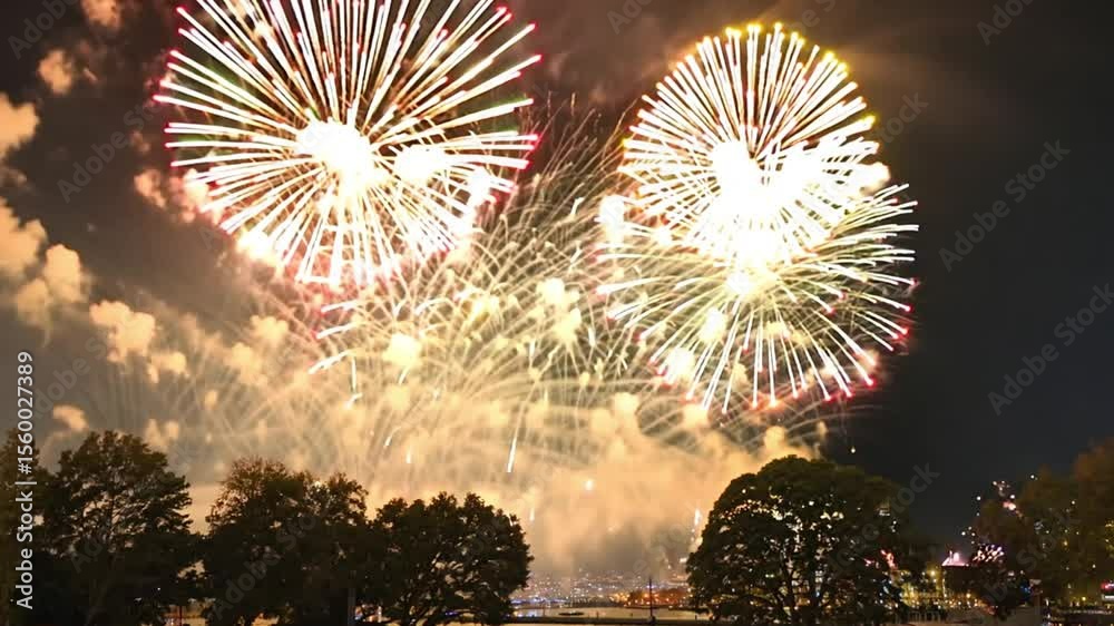Spectacular red fireworks exploding against dark night sky creating brilliant display