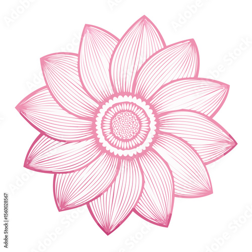 Elegant pink flower with delicate line art on a black background. Ornamental floral bloom for cards, prints, and design elements, floral vector art