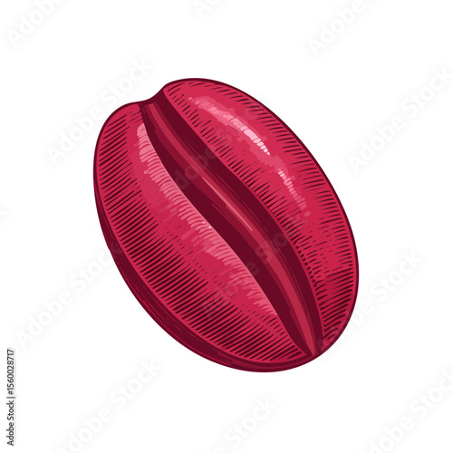 Engraved cocoa bean artwork in red tones against black backdrop for food related themes in illustration