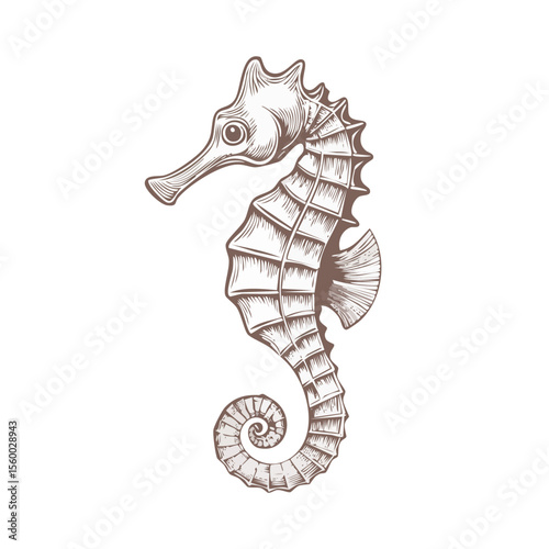 Detailed engraved illustration of a seahorse with fine lines on a black background