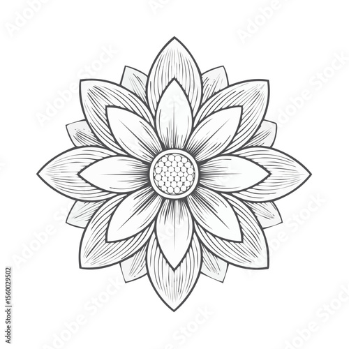 Detailed White Flower Blossom with Petal Design and Intricate Center Pattern on Black Background