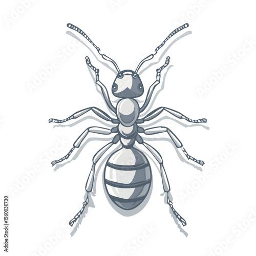 Illustration of a detailed ant insect with segmented body exoskeleton and antennae on a solid black background  creature animal