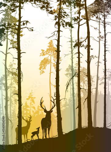 vector landscape with silhouette of pine forest and deer family