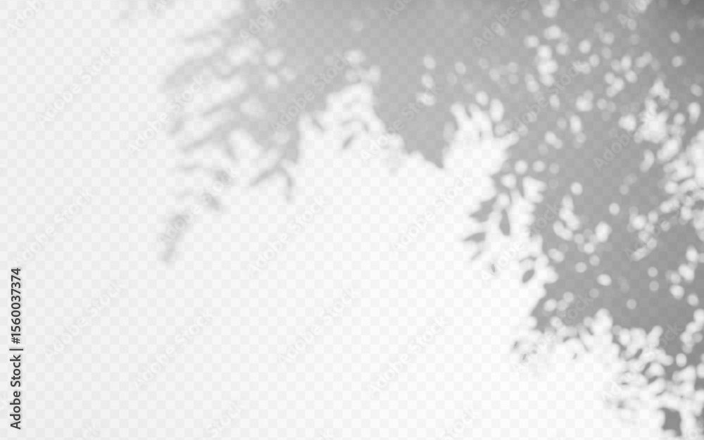 Obraz premium Shadow overlay from a tree branch isolated on a transparent background.