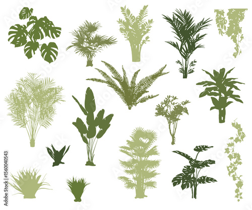 set of tropical plants silhouettes, vector illustration