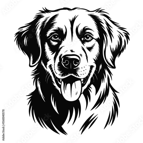 Black and white dog head sketch of a golden retriever