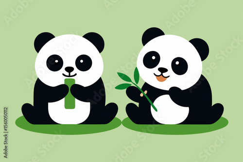 pandas eating bamboo cute animal wildlife