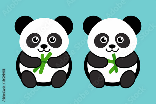 pandas eating bamboo cute animal wildlife