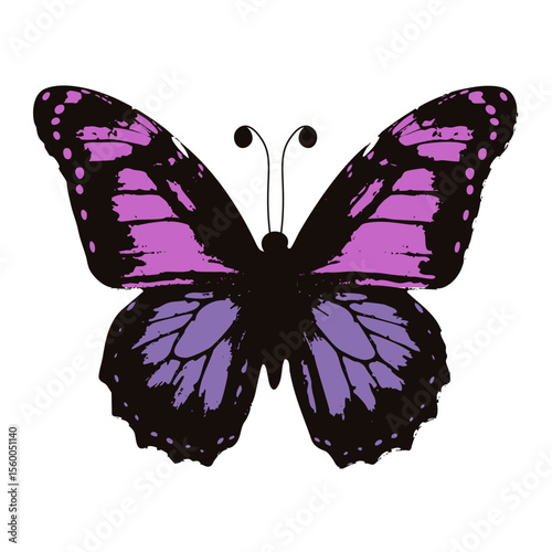 Grunge colorful butterfly. Vector illustration of beautiful butterfly texture with stipple effect isolated transparent background. Perfect wall fabric clothes decor. Room interior art. EPS 10