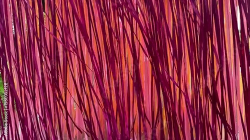 Colorful ribbons in the wind