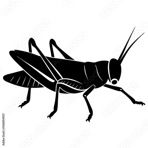 Detailed black silhouette of a grasshopper with prominent legs and antennae on a white background