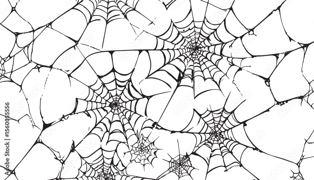 Obraz premium spider web background, vector illustration of a spider web, spider web grunge