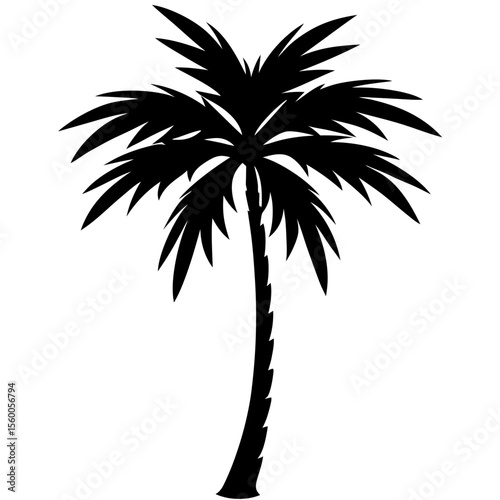 palm tree silhouette