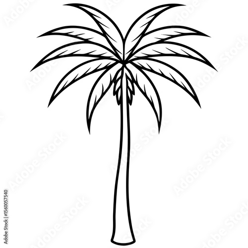 palm tree silhouette