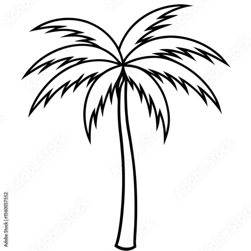 palm tree silhouette