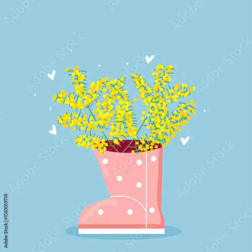 mimosa flower