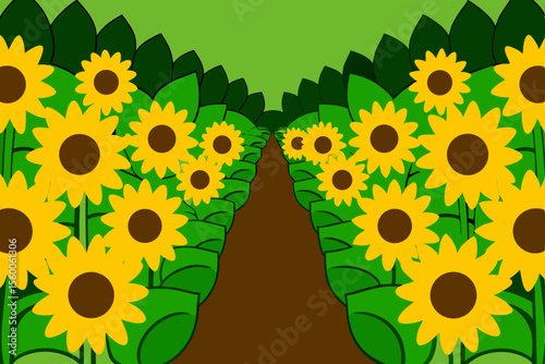 Peaceful Garden Path With Bright Yellow Sunflowers
