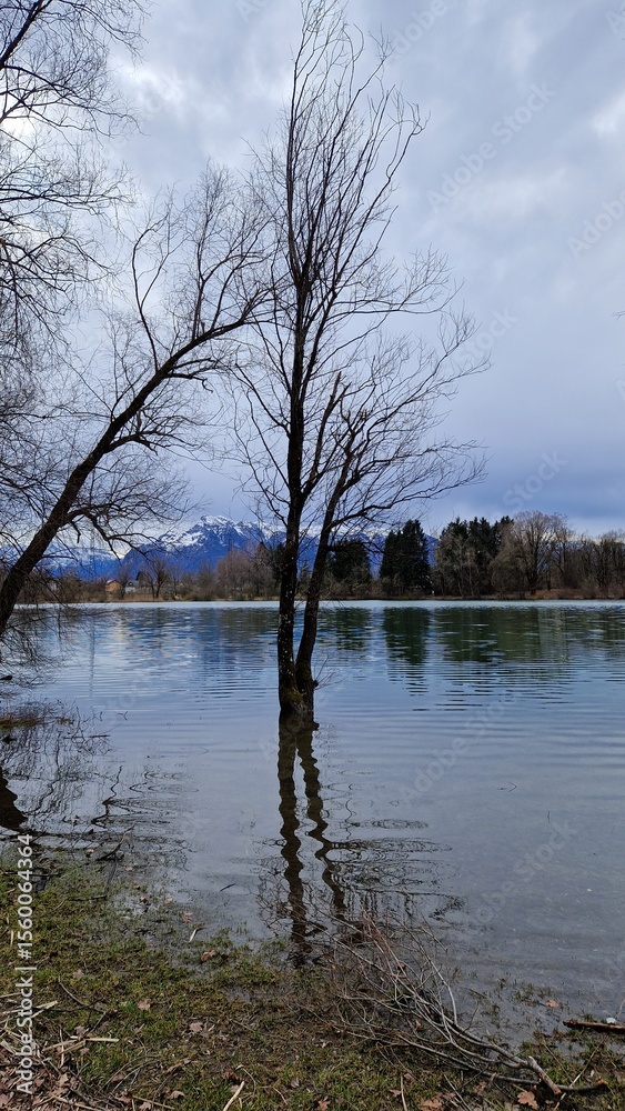 Obraz premium Overflowing lake in the woods under a moody sky