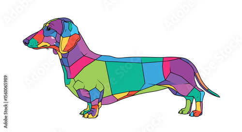 A Colorful Journey Through the Wonderful World of Dachshunds and Their Breed Origins
